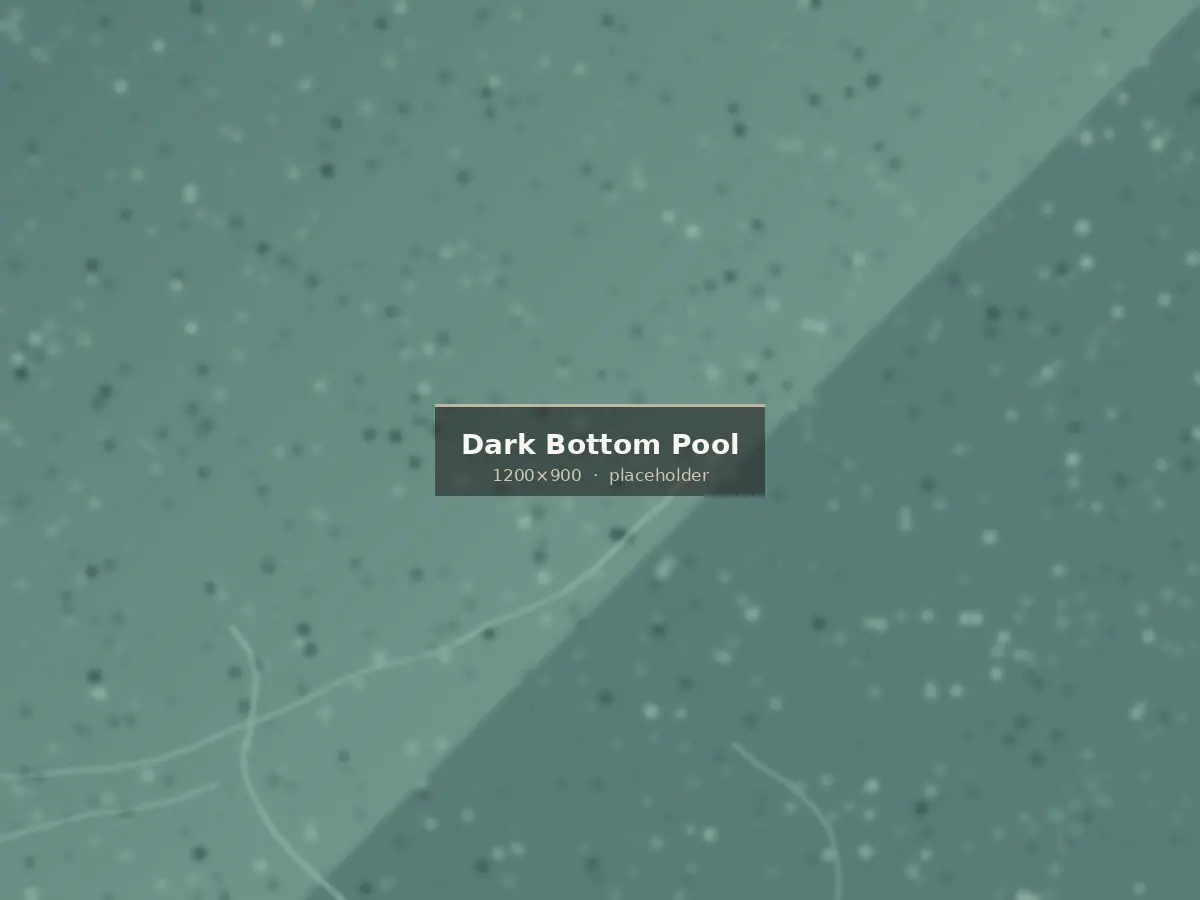 Light andesite coping framing dark lava stone pool water
